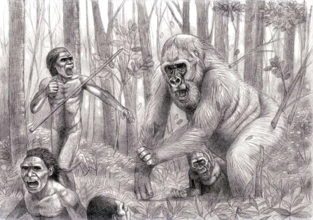 Gigantopithecus by Jagroar