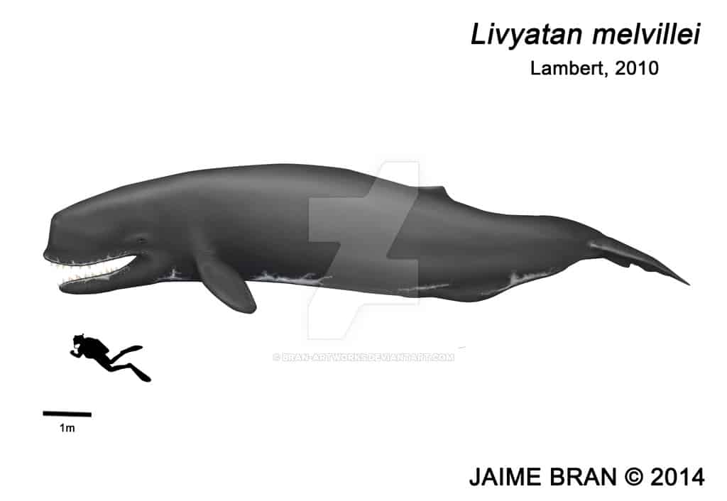 Leviathan (Livyatan) by Jaime Bran