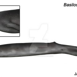 1168_basilosaurus_jaime_bran
