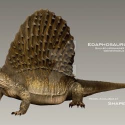 1316_edaphosaurus_galileo_nunez