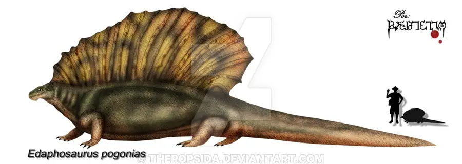 Edaphosaurus by Theropsida