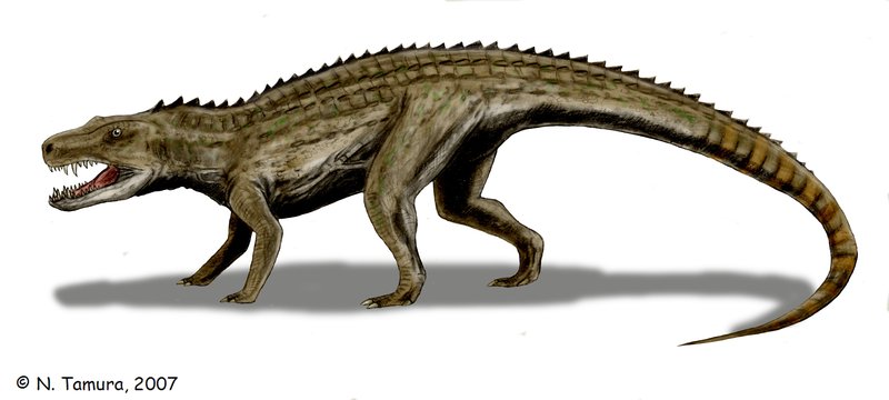 Postosuchus by Nobu Tamura