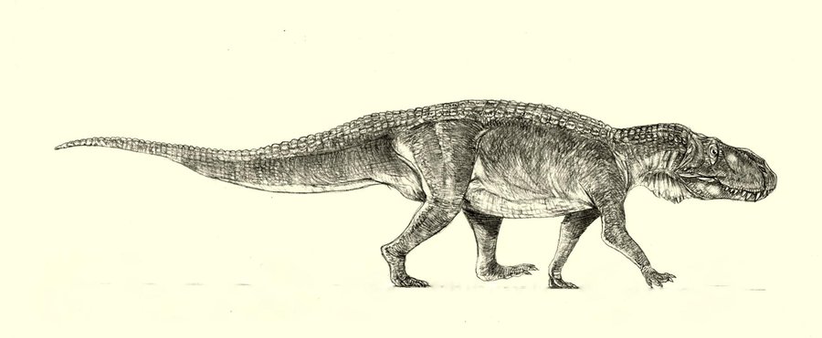 Postosuchus by Jakub