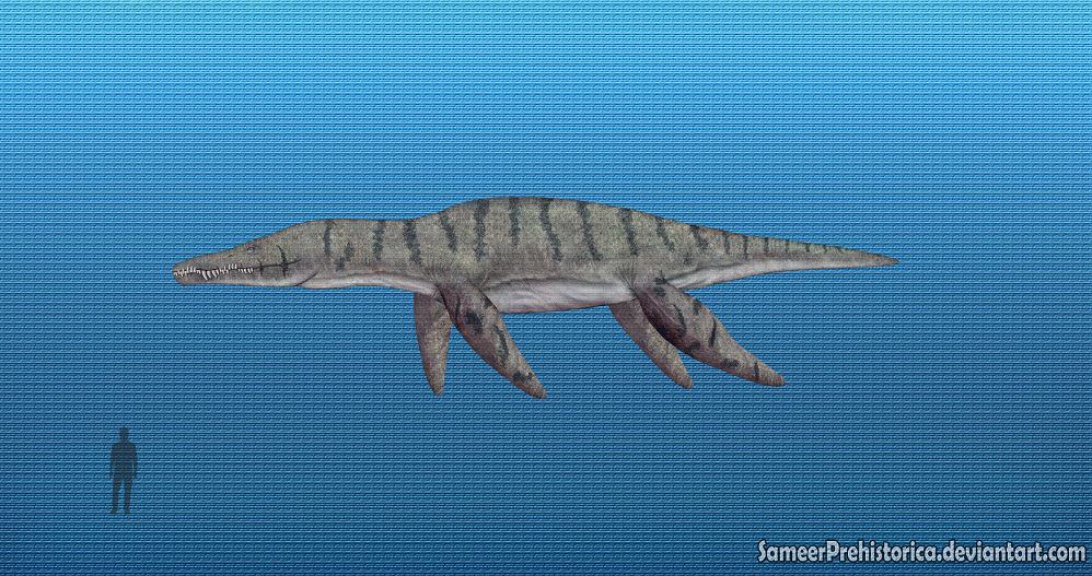 Pliosaurus by SameerPrehistorica