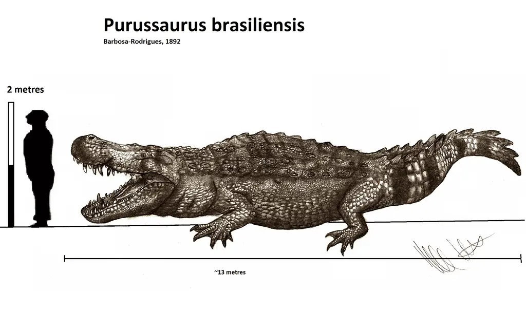 Purussaurus by Robinson Kunz