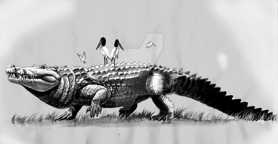 Purussaurus by Jorge Antonio Gonzalez