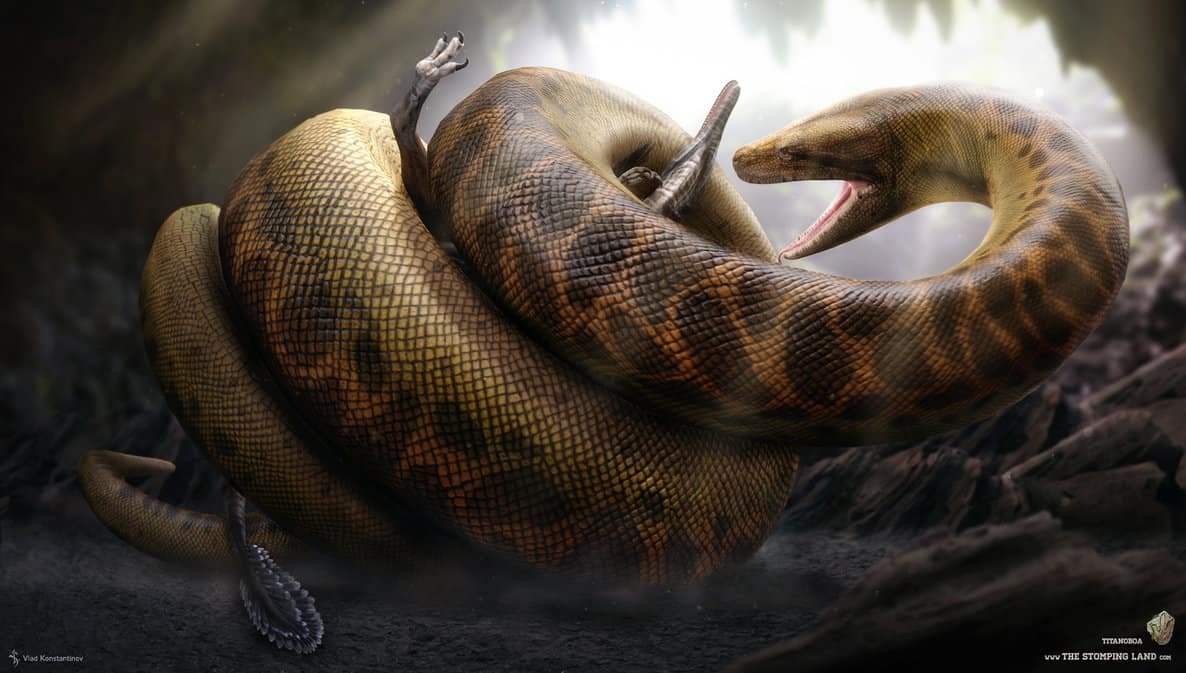 Titanoboa Facts And Pictures