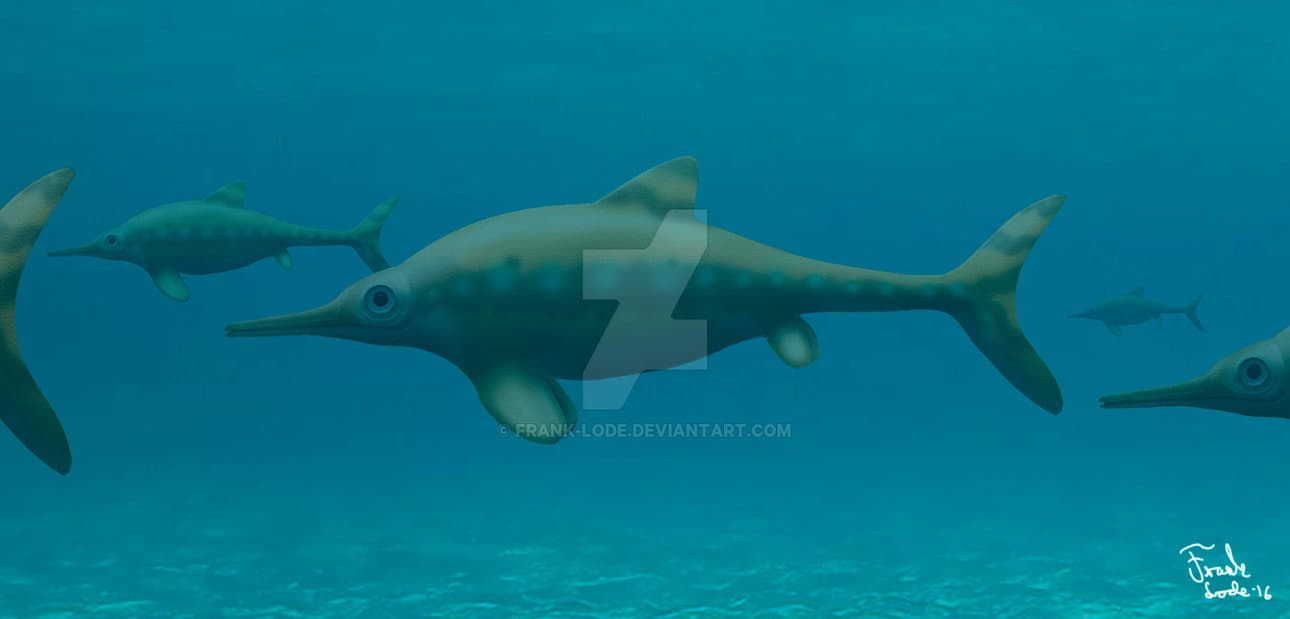 Ophthalmosaurus by Frank Lode