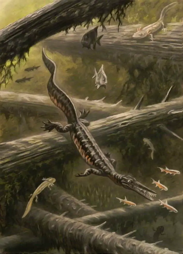 Mesosaurus