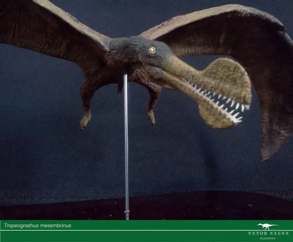 Tropeognathus by Jose Vitor E. Da Silva