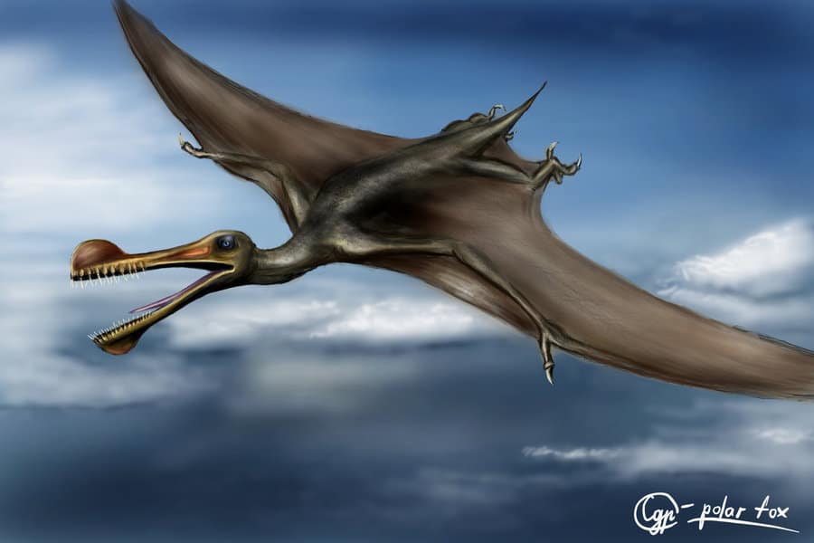 Ornithocheirus by Svpolarfox