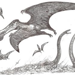 1561_ornithocheirus_hodarinundu