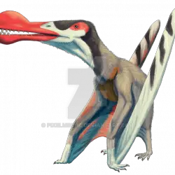 1562_ornithocheirus_rebecca_groom