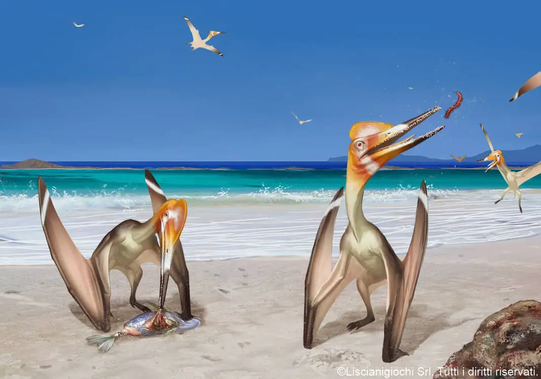 Pterodactylus by Akeiron