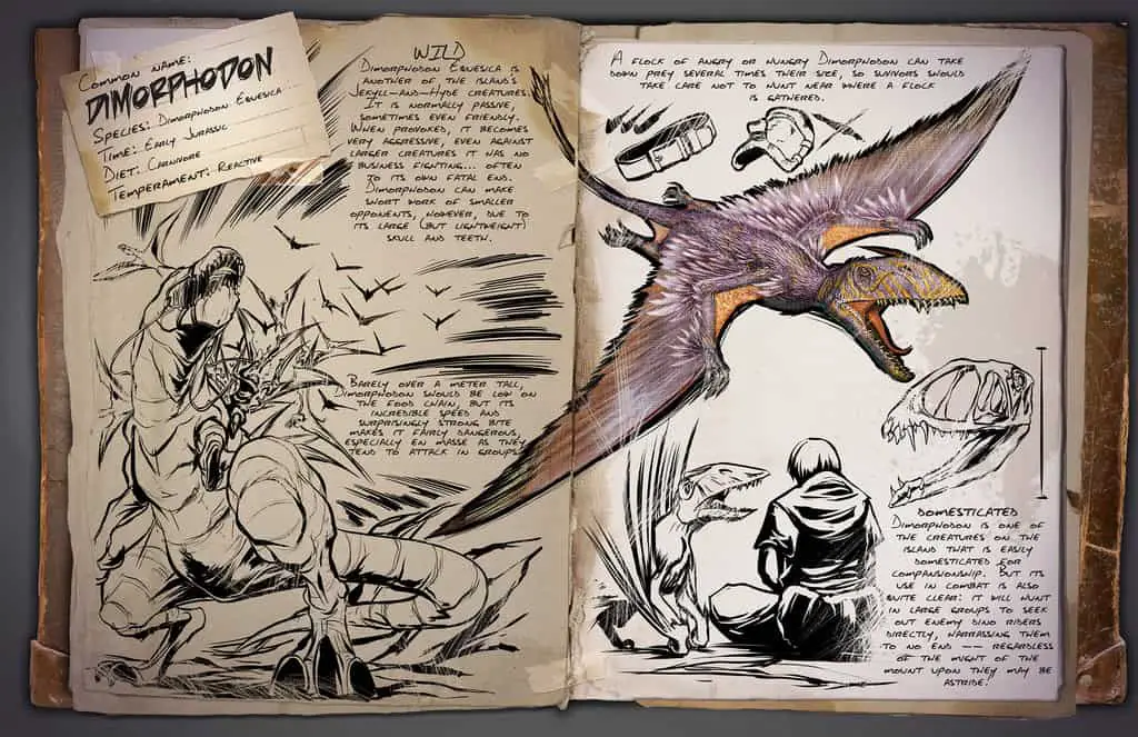 Dimorphodon by Kevin