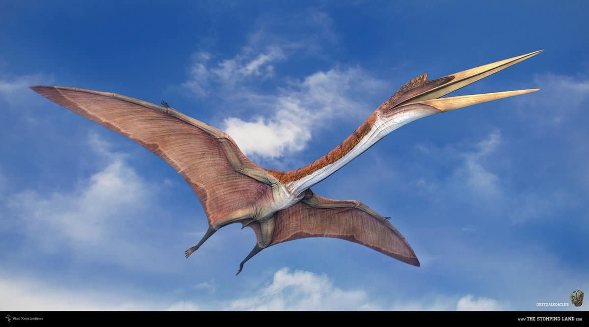 Quetzalcoatlus