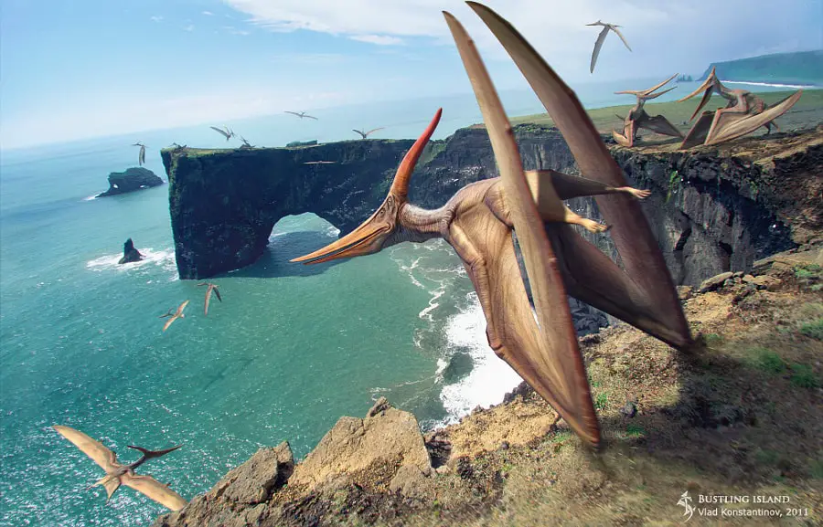 Pteranodon by Vlad Konstantinov