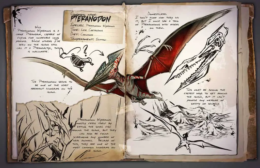Pteranodon by Kevin