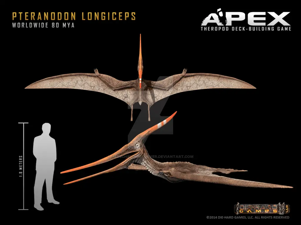 Pteranodon by Herschel Hoffmeyer