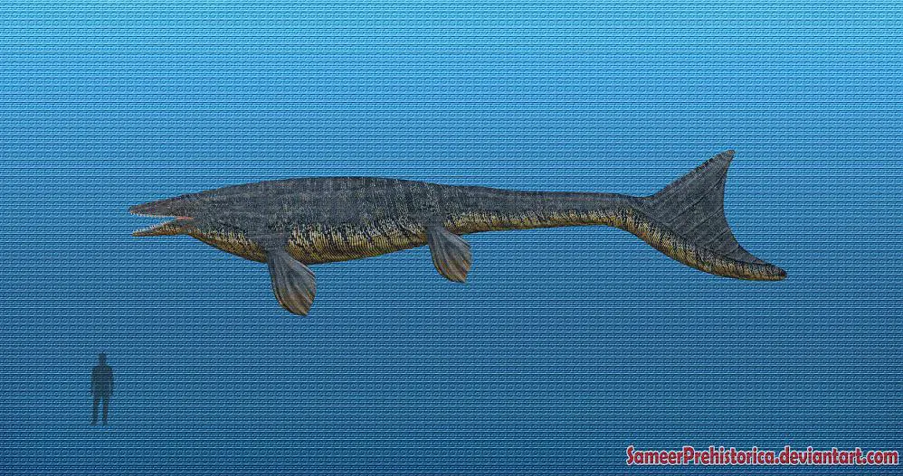 Mosasaurus by SameerPrehistorica