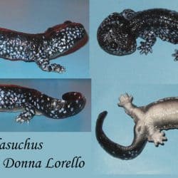 614_koolasuchus_donna_lorello