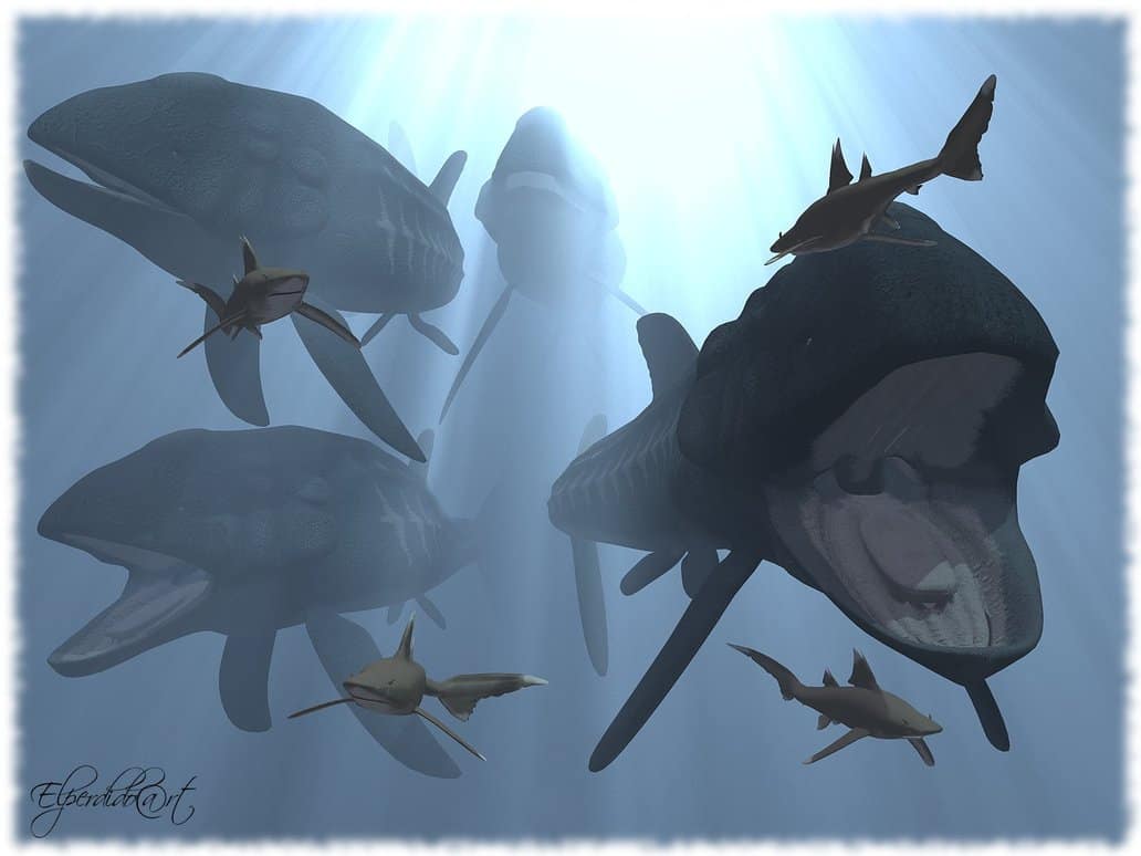 Leedsichthys by Andreas
