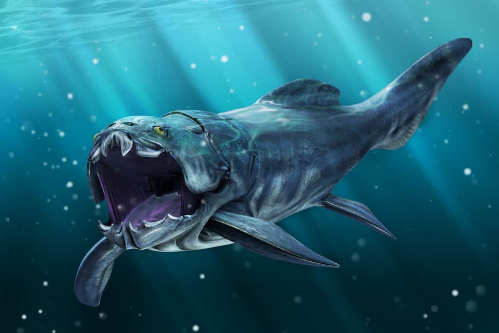 Ocean predator I just discovered. Reminds me of dunkleosteus in a