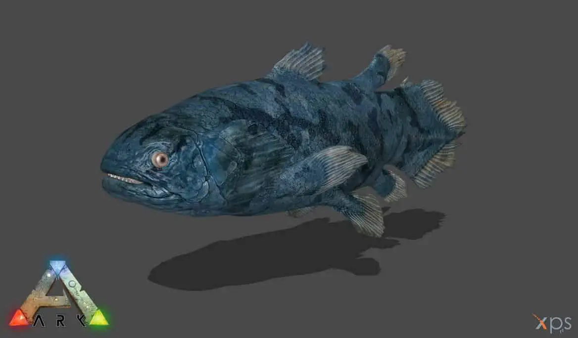 Coelacanth by Val