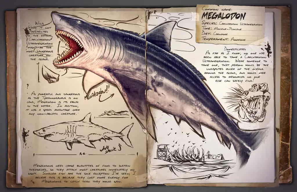 Megalodon by Kevin