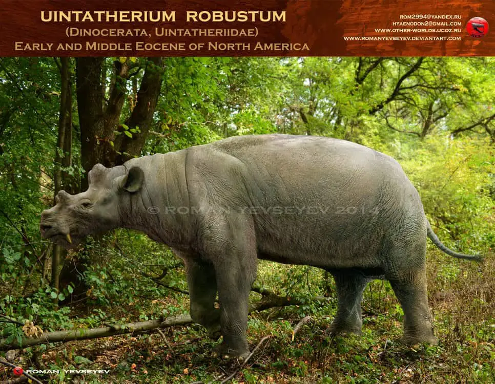 Uintatherium by Roman Yevseyev