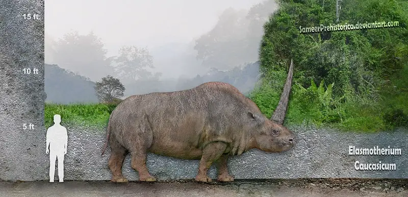 Elasmotherium by SameerPrehistorica