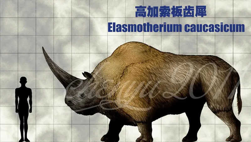 Elasmotherium by Chen Yu