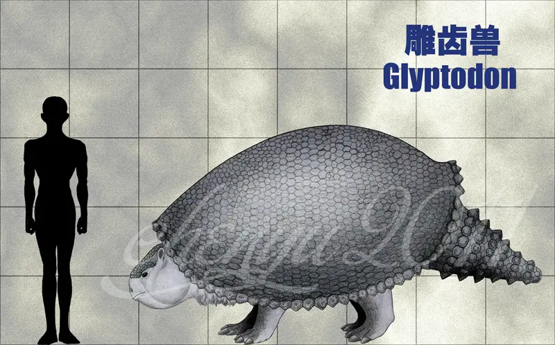 Glyptodon by Chen Yu