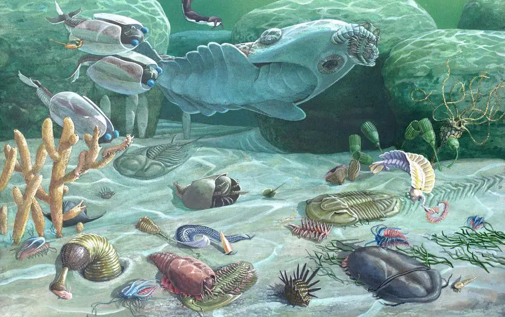 Poster Of Prehistoric Animals During The Cambrian Per - Vrogue.co