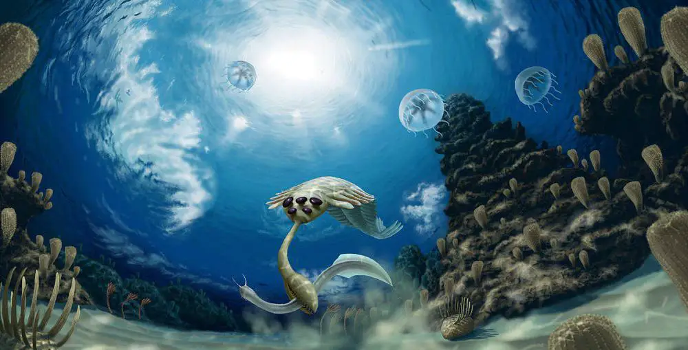 paleozoic era periods all