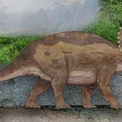 1650_centrosaurus_sameerprehistorica