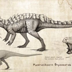 1659_dryosaurus_emily_stepp