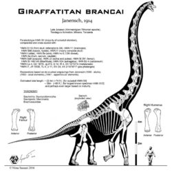 1679_giraffatitan_nima
