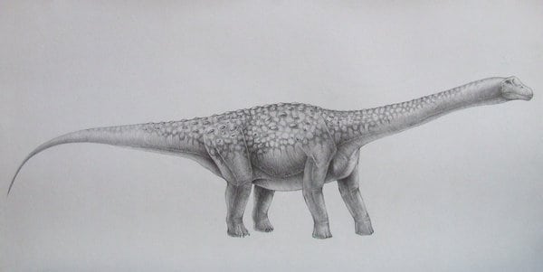 Bruhathkayosaurus by Vladimir Nikolov