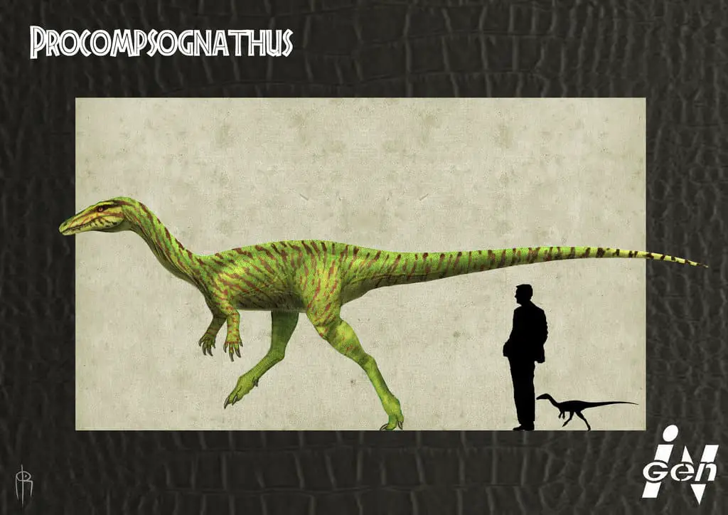 Procompsognathus by alvaro Rozalen