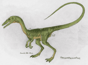 Procompsognathus