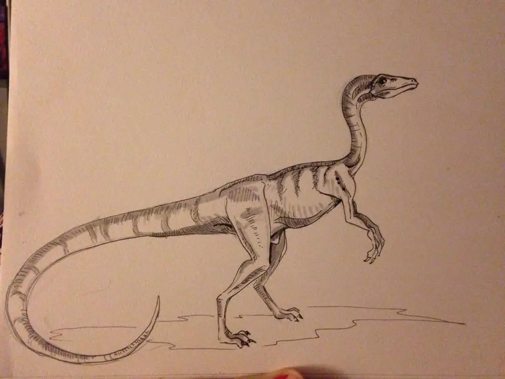 Procompsognathus by Cait Mac