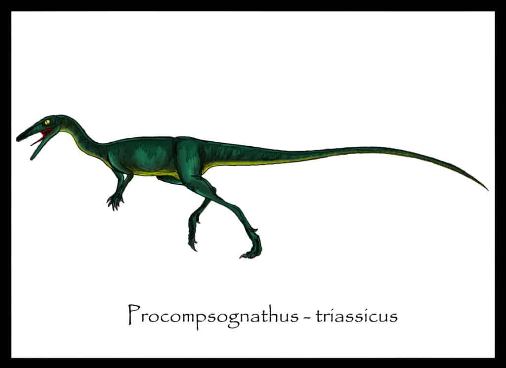 Procompsognathus by Danillo Barion De Oliveira
