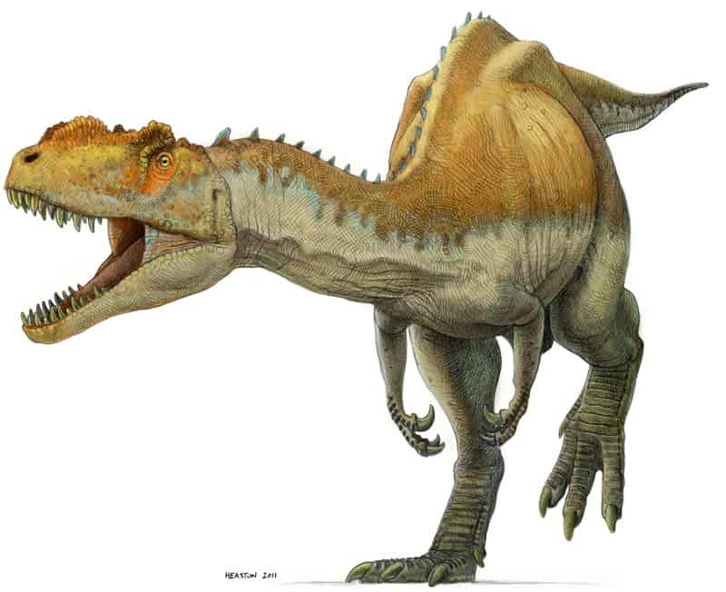 Yangchuanosaurus by Paul Heaston