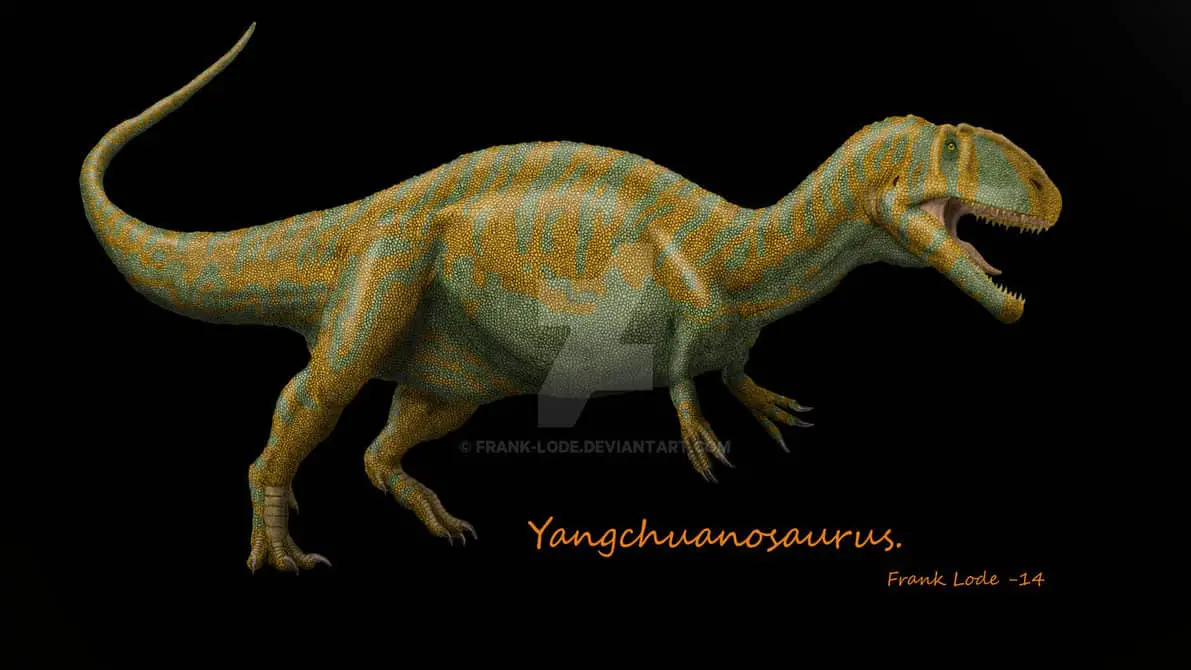 Yangchuanosaurus by Frank Lode