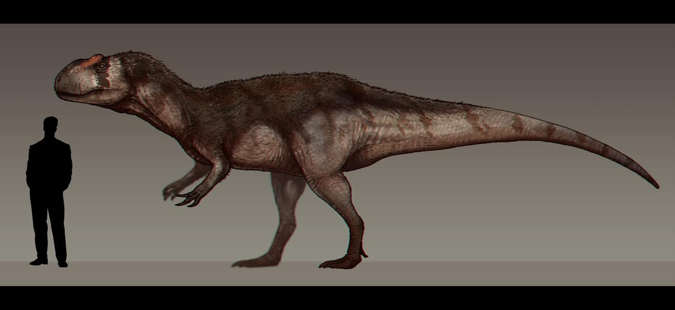 Yangchuanosaurus by Paleocolour