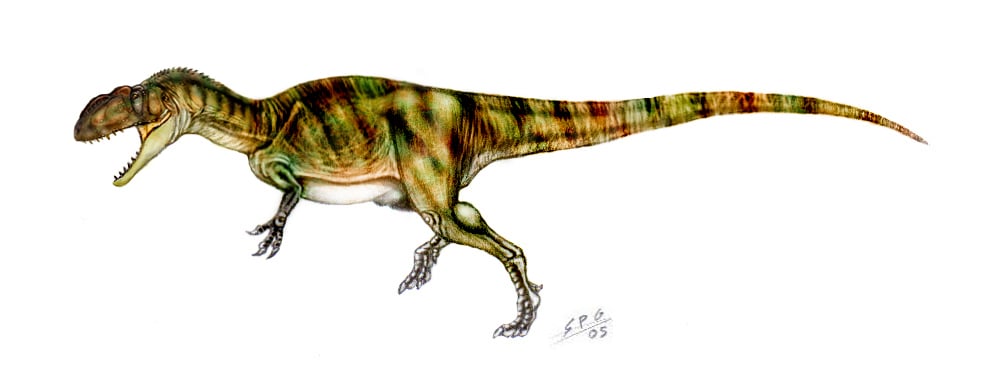 Yangchuanosaurus by Sergio Perez