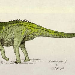 shunosaurus