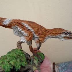 1732_sinosauropteryx_martin_garratt