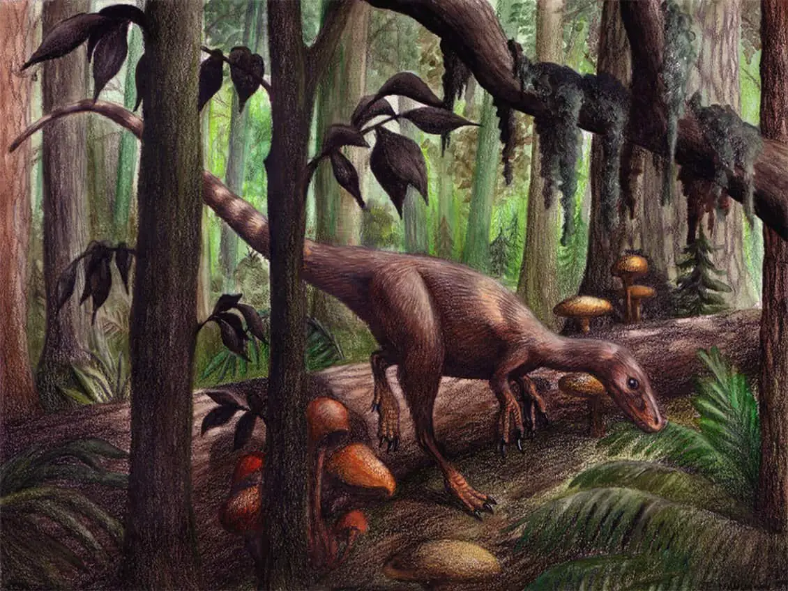 Sinosauropteryx by Emily Willoughby